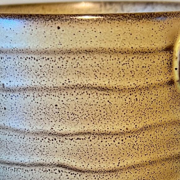 222 FIFTH Studio Khaki Stoneware Mug ~ Sedimentary Rock Stratum Pattern - Picture 10 of 10